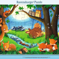 When Small Animals Sleep Go Ravensburger Children's Puzzle 05146-Wenn gehen-35 Pieces Frame Puzzle, Teal/Turquoise Green