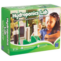 Hydroponics Lab: Growing Plants
