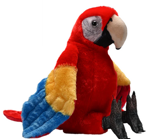 Artist Collection - Scarlet Macaw